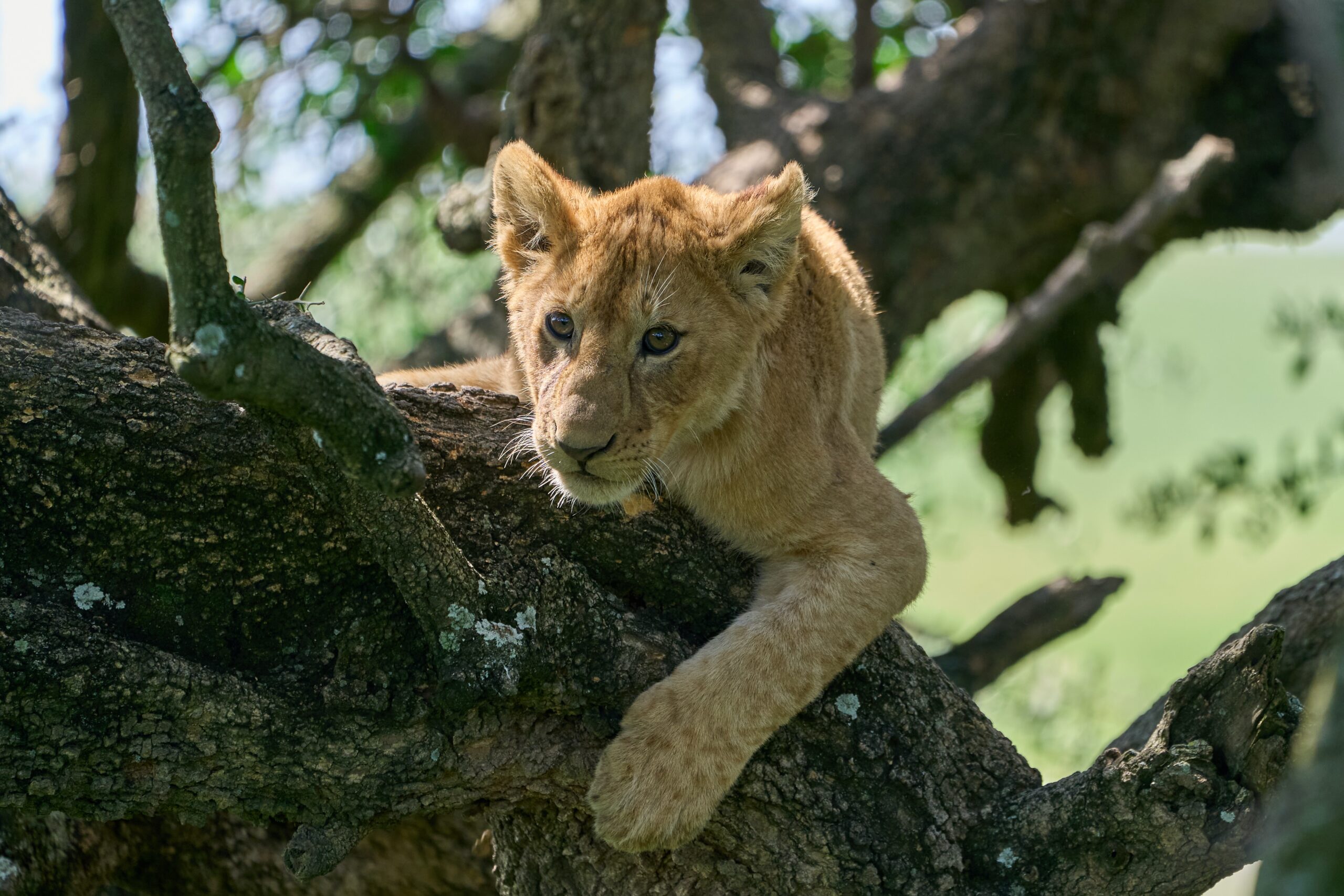 Kenya