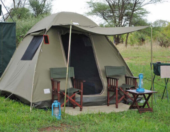 8 Days Budget Camping Safari