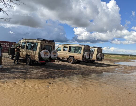 06 DAYS GROUP JOINING WILDLIFE LODGE SAFARI