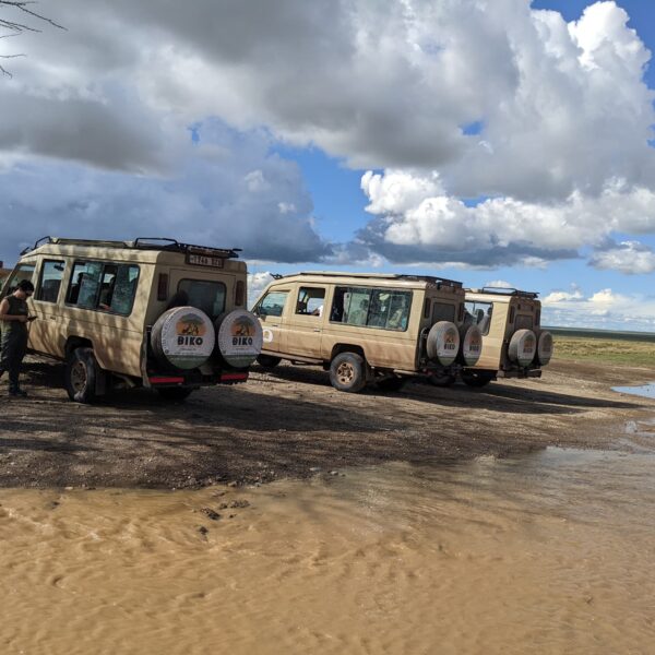 06 DAYS GROUP JOINING WILDLIFE LODGE SAFARI