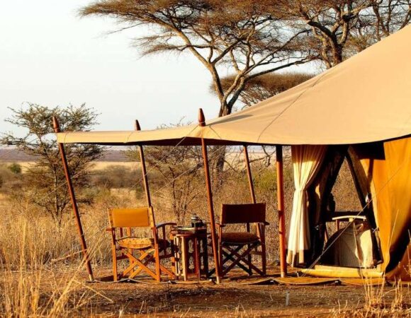 4 Days Budget Camping Safari
