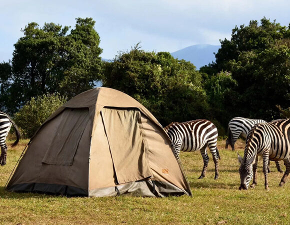 6 Days Budget Camping Safari
