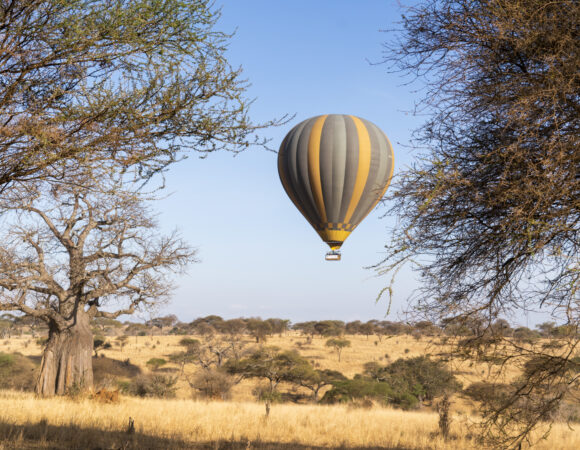 16 DAYS BIRDWATCHING NORTHERN TANZANIA TO LAKE VICTORIA