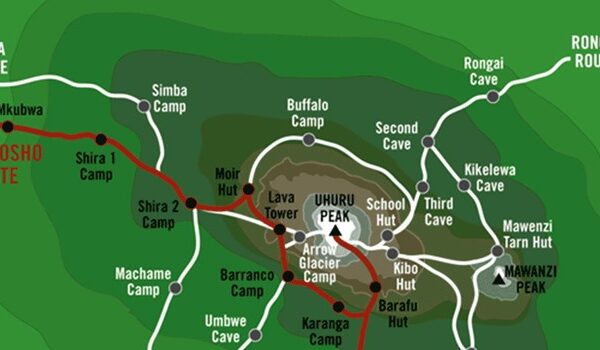 7 DAYS LEMOSHO ROUTE-MT KILIMANJARO TREKKING