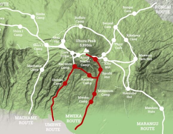 6 DAYS UMBWE ROUTE-MT KILIMANJARO TREKKING