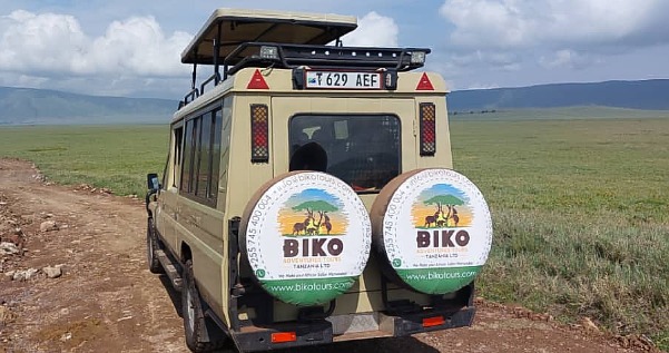 07 DAYS GROUP JOINING WILDLIFE LODGE SAFARI