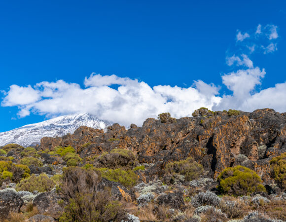 1 DAY MT KILIMANJARO MARANGU GATE TO MANDARA HUT