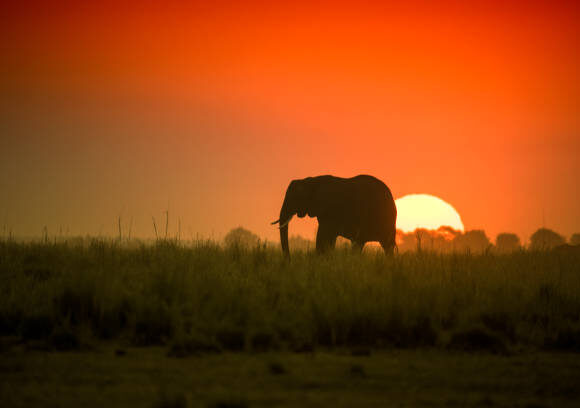 8-DAYS OKAVANGO, CHOBE AND VICTORIA FALLS EXPLORER