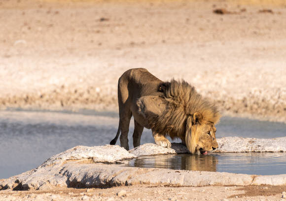 10 DAYS BEST OF NAMIBIA SELF-DRIVE TOUR
