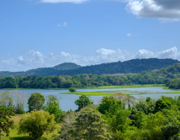 31 Days Birdwatching in Tanzania