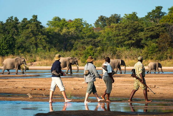 2-DAY WALK-IN SOUTH LUANGWA SAFARI