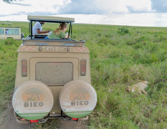 4 DAYS THE AUTHENTIC NORTHERN TANZANIA SAFARI