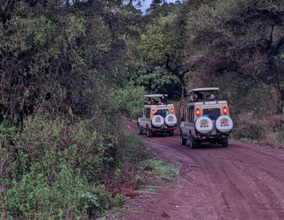 2 DAYS MANYARA & NGORONGORO CRATER