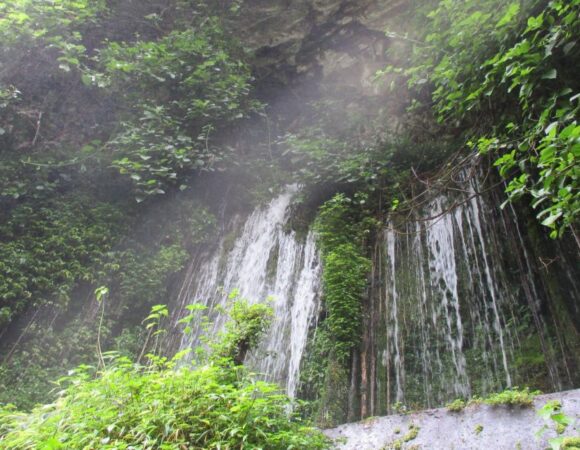 1 DAY ARUSHA TO THEMI WATERFALLS