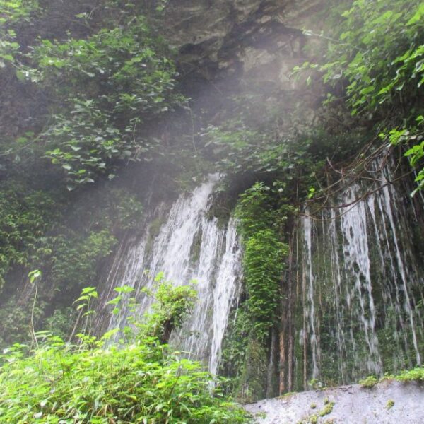 1 DAY ARUSHA TO THEMI WATERFALLS