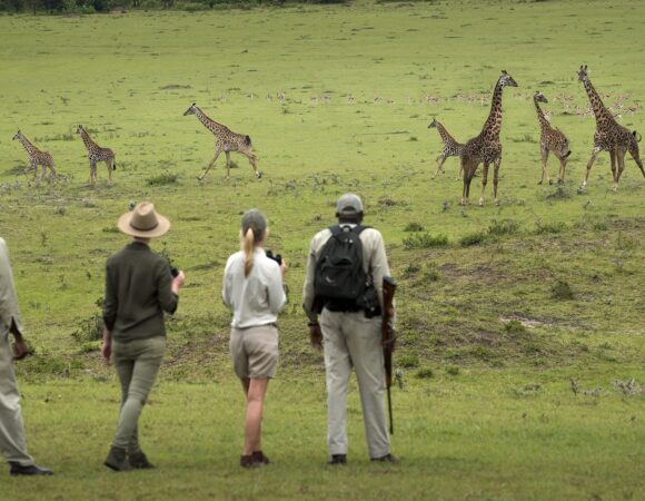 9 DAYS LUXURY WALKING SAFARI, AND CULTURAL TOUR