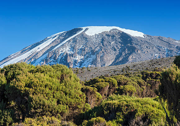 1 DAY TASTING THE SWEETNESS OF TREKKING TO MACHAME CAMP