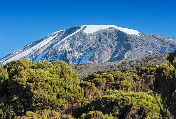 1 DAY TASTING THE SWEETNESS OF TREKKING TO MACHAME CAMP