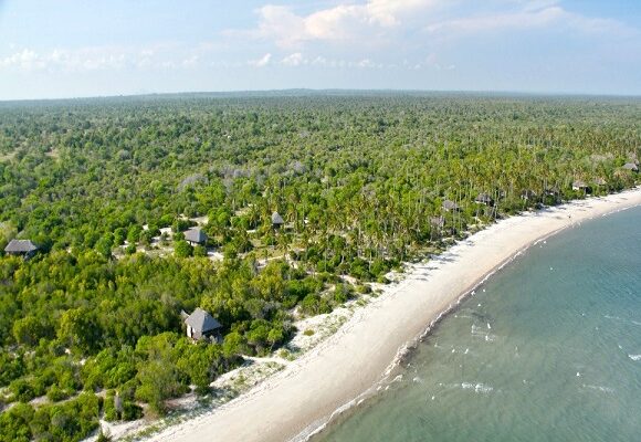 4 DAYS DAR ES SALAAM – SAADANI NATIONAL PARK