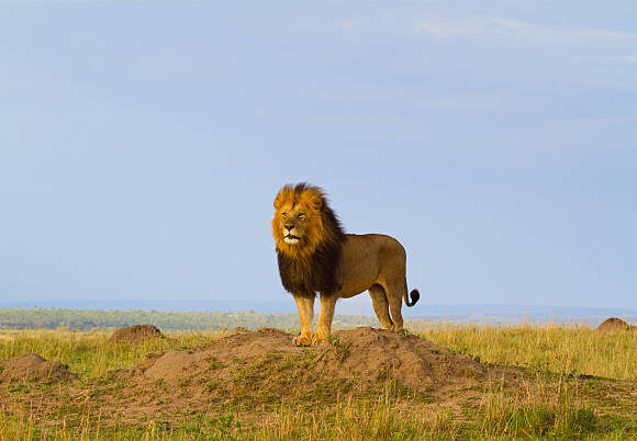 8 DAYS THE NORTHERN TANZANIA EXPLORE