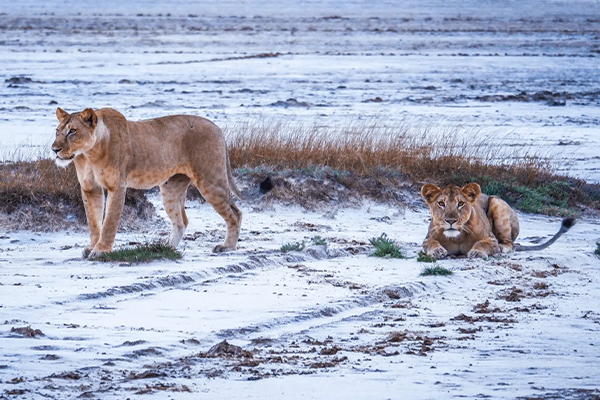 Saadan National Park