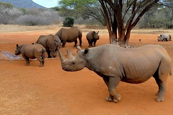 Mkomanzi National Park
