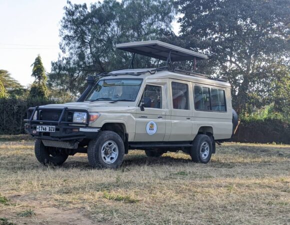 What Type of Vehicle is Best for a Safari?