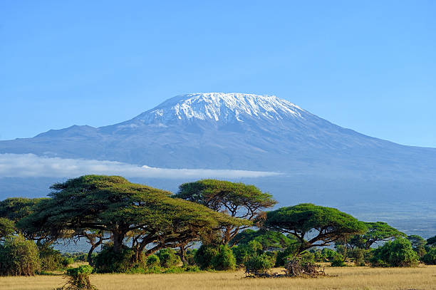 Conquering the Roof of Africa: An In-Depth Exploration of Mount Kilimanjaro with Biko Adventures Tours.