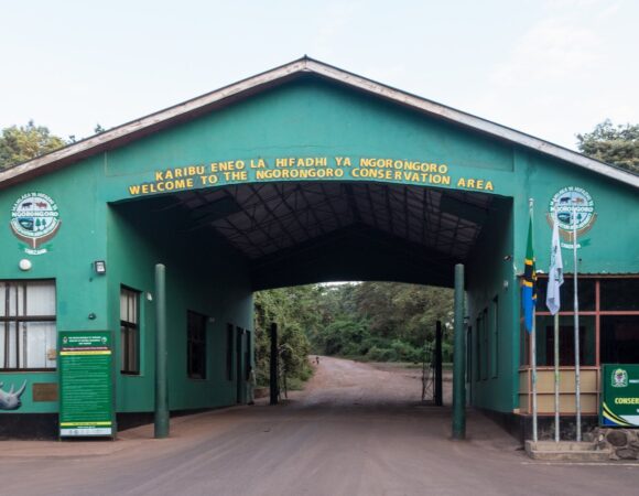 Why the Ngorongoro Crater Should be on your Bucket List?