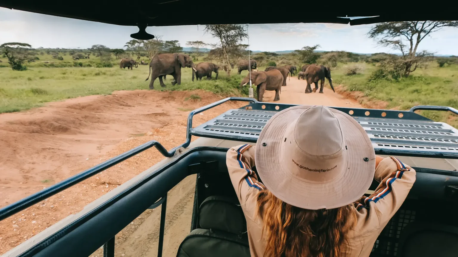 Common Mistakes Made on an African Safari!